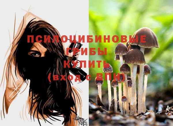 бошки Беломорск