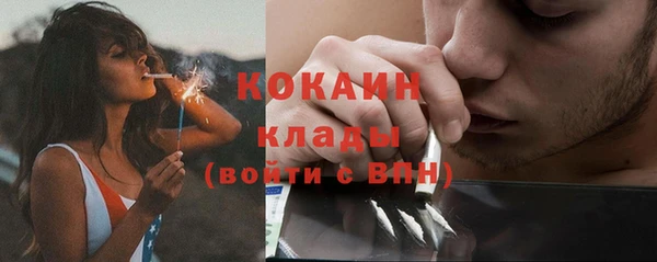 прущая мука Богородск