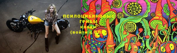 соль курить ск Белокуриха