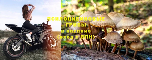 бошки Беломорск