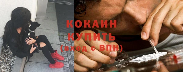 соль курить ск Белокуриха